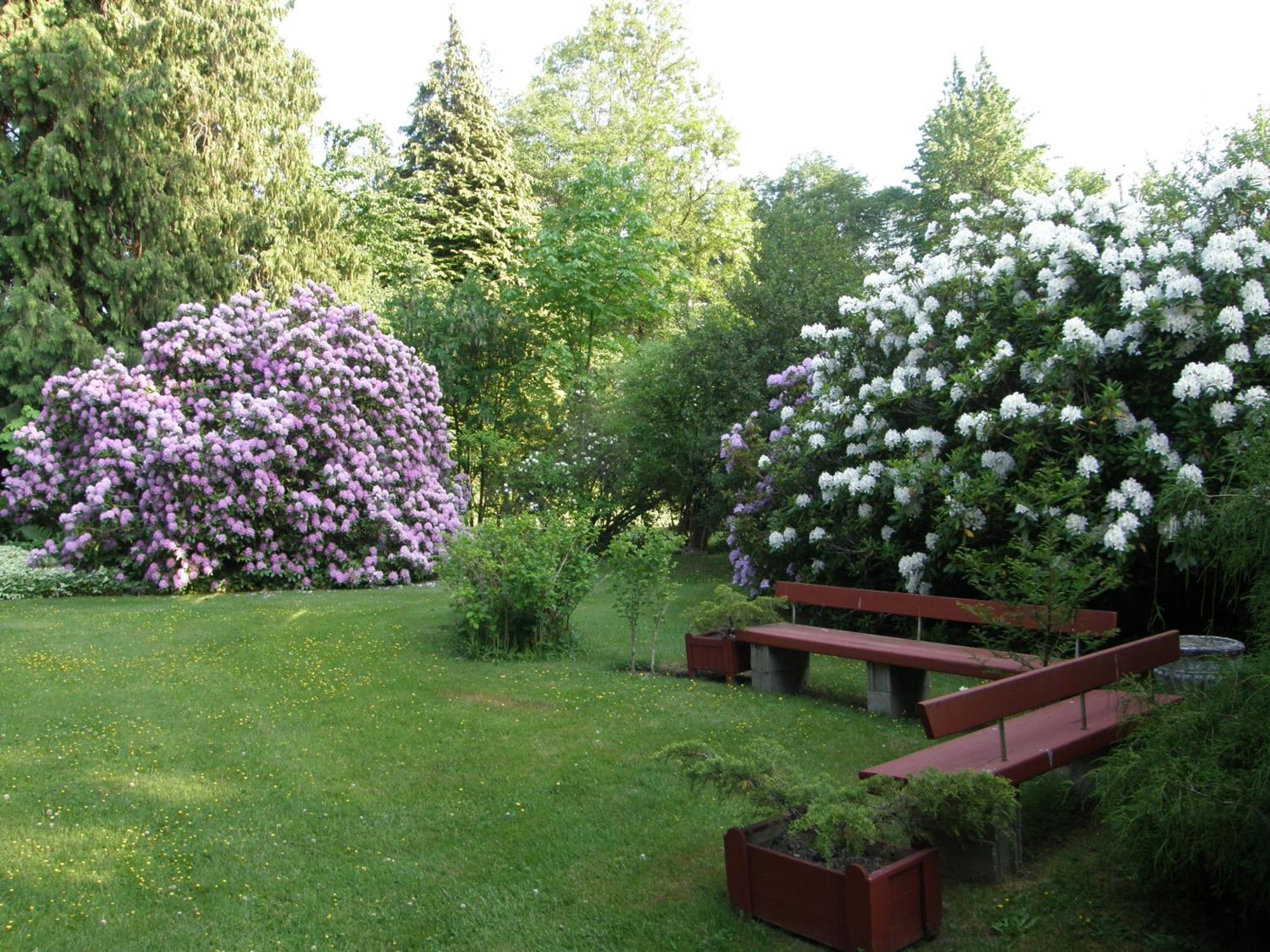 Cedar Wood Lodge Bed & Breakfast Inn Port Alberni Bagian luar foto