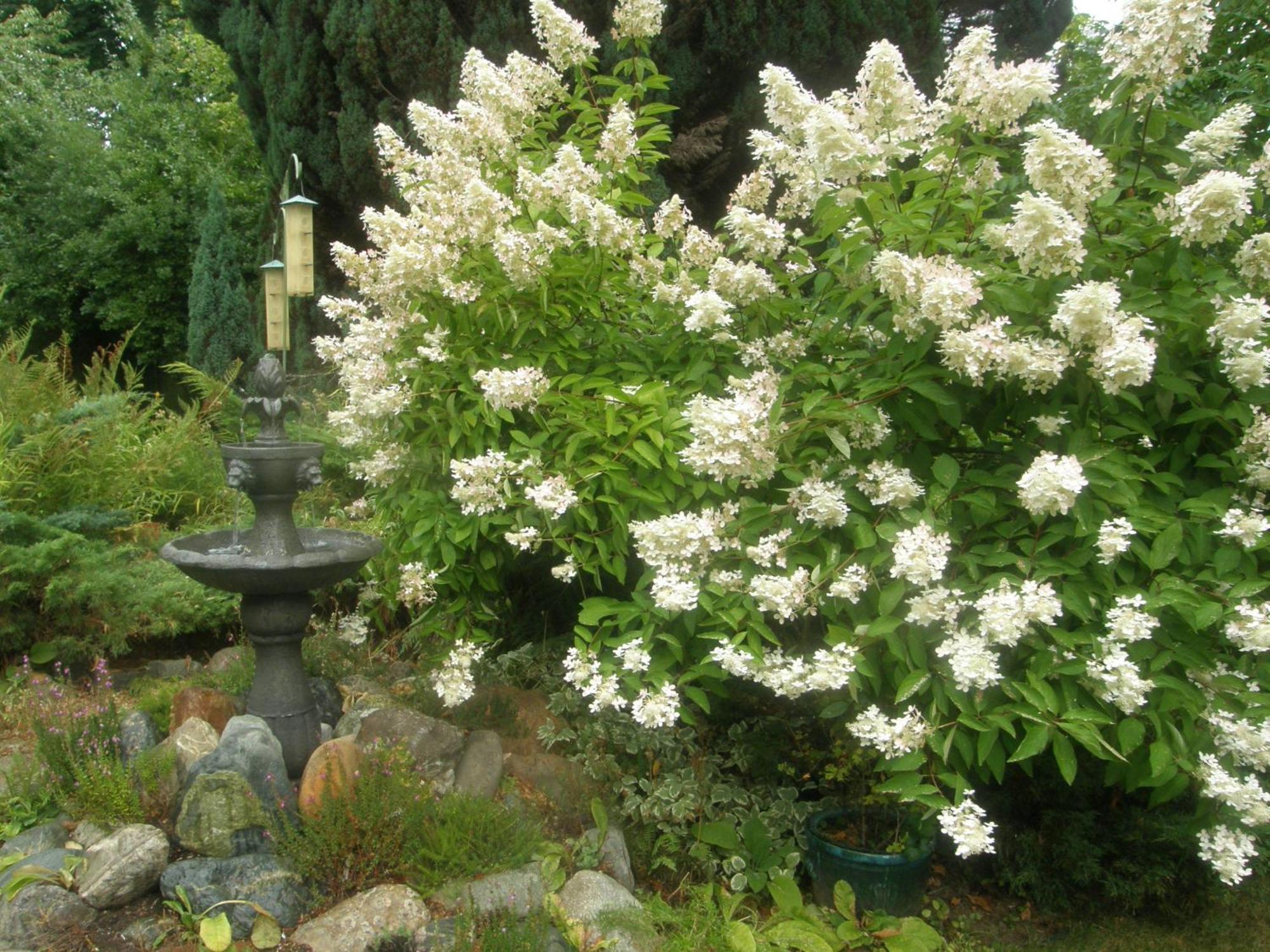 Cedar Wood Lodge Bed & Breakfast Inn Port Alberni Bagian luar foto